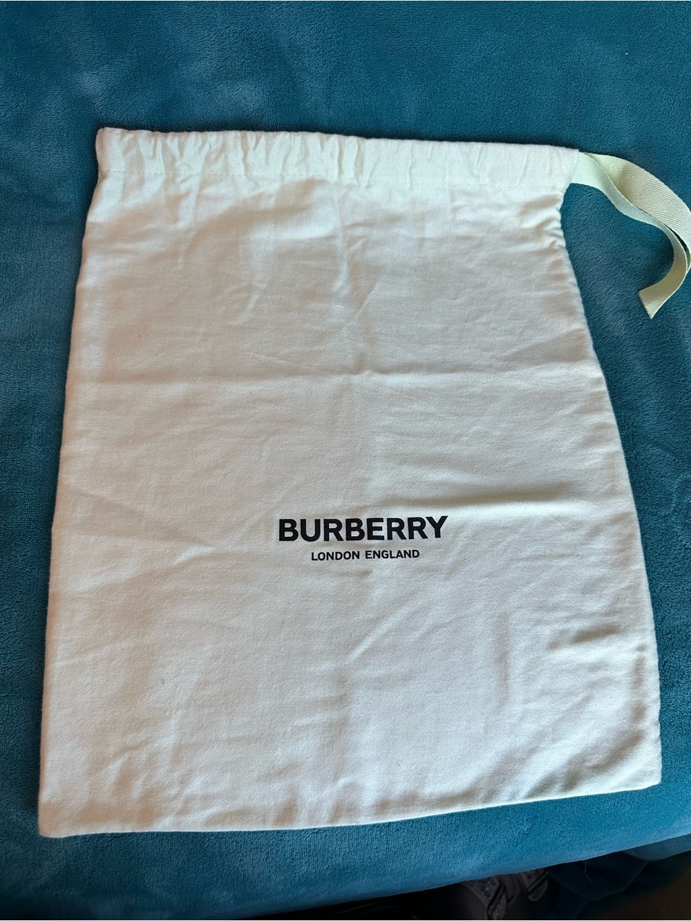Burberry London England Pale Mint Green Dust Bag 12x15